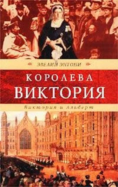 Эвелин Энтони Виктория и Альберт обложка книги