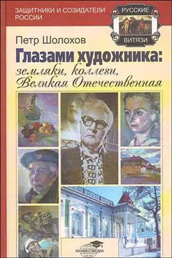 Петр Шолохов Глазами художника: земляки, коллеги, Великая Отечественная обложка книги