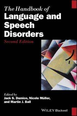 Неизвестный Автор The Handbook of Language and Speech Disorders обложка книги