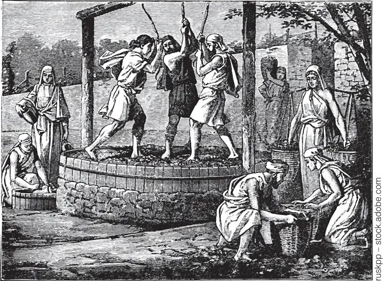 Abbildung 16Weinklärung in der Antike Im vierten Jahrhundert v Chr schlug - фото 62