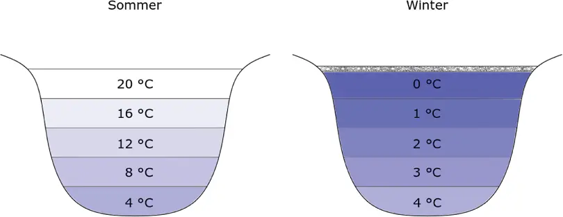 Abbildung 25Anomalie des Wassers Teilchenmodell zur Beschreibung der - фото 78