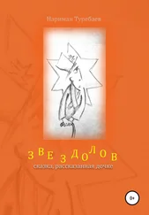 Нариман Туребаев - Звездолов