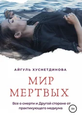 Айгуль Хуснетдинова - Мир мертвых. Все о смерти и Другой стороне от практикующего медиума