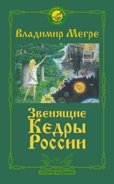 Владимир Мегре Звенящие кедры России обложка книги