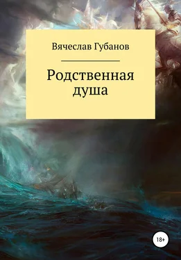 Вячеслав Губанов Родственная душа. Сборник рассказов обложка книги