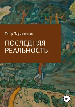 Пётр Таращенко Последняя реальность обложка книги