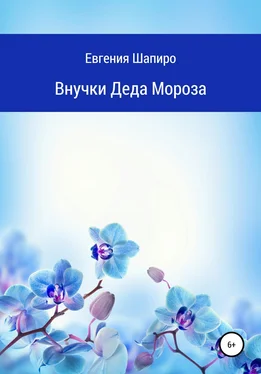 Евгения Шапиро Внучки Деда Мороза обложка книги