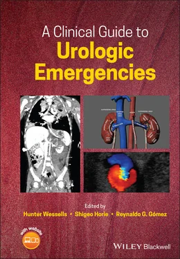 Неизвестный Автор A Clinical Guide to Urologic Emergencies обложка книги