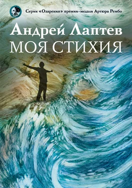 Андрей Лаптев Моя стихия обложка книги