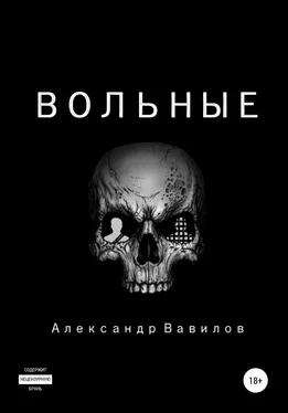 Александр Вавилов Вольные обложка книги