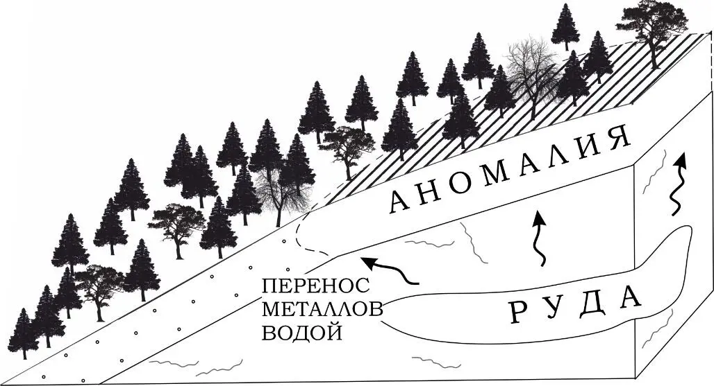Рисунок Склон горы в разрезе Повар и Тон с удивлением обернулись На них - фото 5
