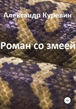 Александр Куревин Роман со змеей обложка книги
