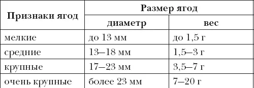 2 Разнообразны ягоды и по форме рис 7 3 Многообразны виноградные ягоды по - фото 8
