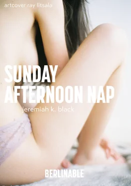 Jeremiah K. Black A Sunday Afternoon Nap обложка книги
