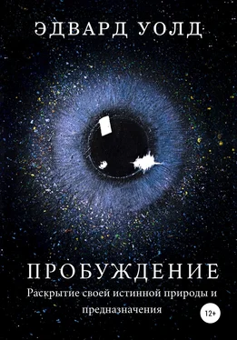 Эдвард Уолд Пробуждение. Раскрытие своей истинной природы и предназначения