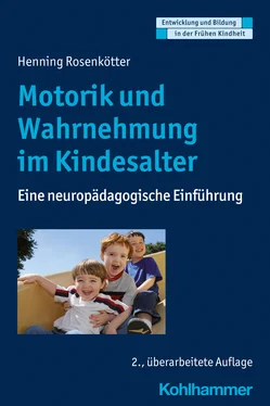 Henning Rosenkötter Motorik und Wahrnehmung im Kindesalter обложка книги