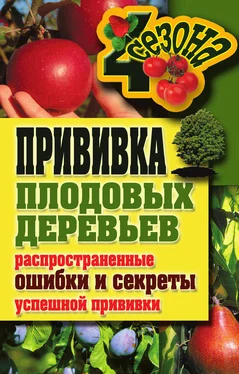 Галина Серикова Прививка плодовых деревьев: распространенные ошибки и секреты успешной прививки обложка книги