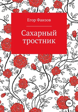 Егор Фаизов Сахарный тростник обложка книги