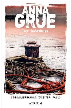 Anna Grue Der Judaskuss обложка книги