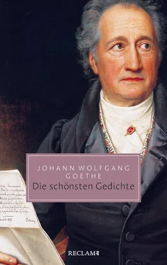 Johann wolfgang Goethe Die schönsten Gedichte обложка книги