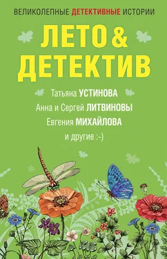 Анна и Сергей Литвиновы Лето&Детектив обложка книги