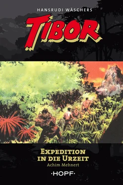 Achim Mehnert Tibor 8: Expedition in die Urzeit обложка книги