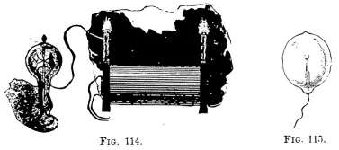 The success of lamps of this kind would depend largely on the selection of the - фото 19