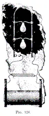 In operating devices on the above plan I have observed curious phenomena of - фото 21