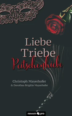 Christoph Mayerhofer Liebe - Triebe - Peitschenhiebe обложка книги