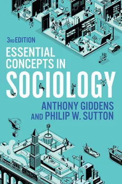 Anthony Giddens Essential Concepts in Sociology обложка книги