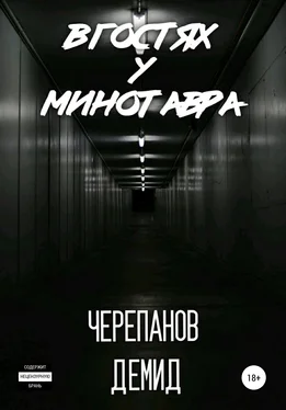Демид Черепанов В гостях у Минотавра обложка книги