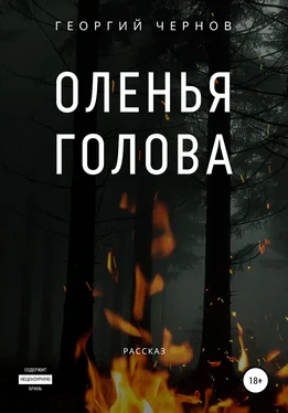 Георгий Чернов Оленья голова обложка книги