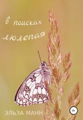 Эльза Манн - В поисках люлепая