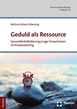 Bettina Siebert-Blaesing Geduld als Ressource обложка книги