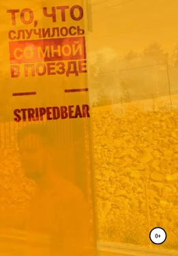 StripedBear То, что случилось со мной в поезде обложка книги