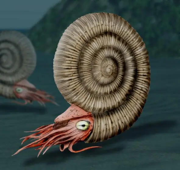 Ammonite Synapsids they are also theromorphs they are animallike namely - фото 15
