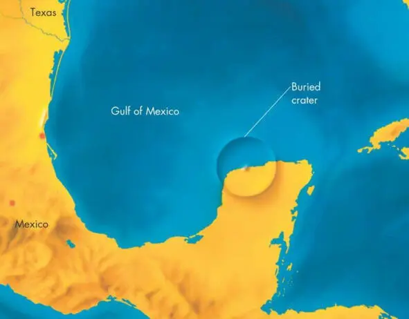 Chicxulub crater The main version is the fall of a celestial body which caused - фото 17