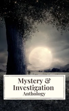 Edgar Allan Poe Mystery & Investigation Anthology обложка книги