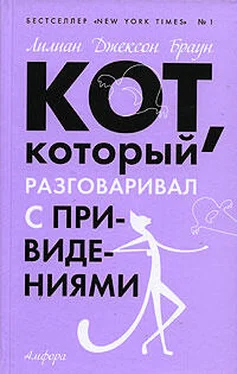 Лилиан Браун Кот, который разговаривал с привидениями обложка книги