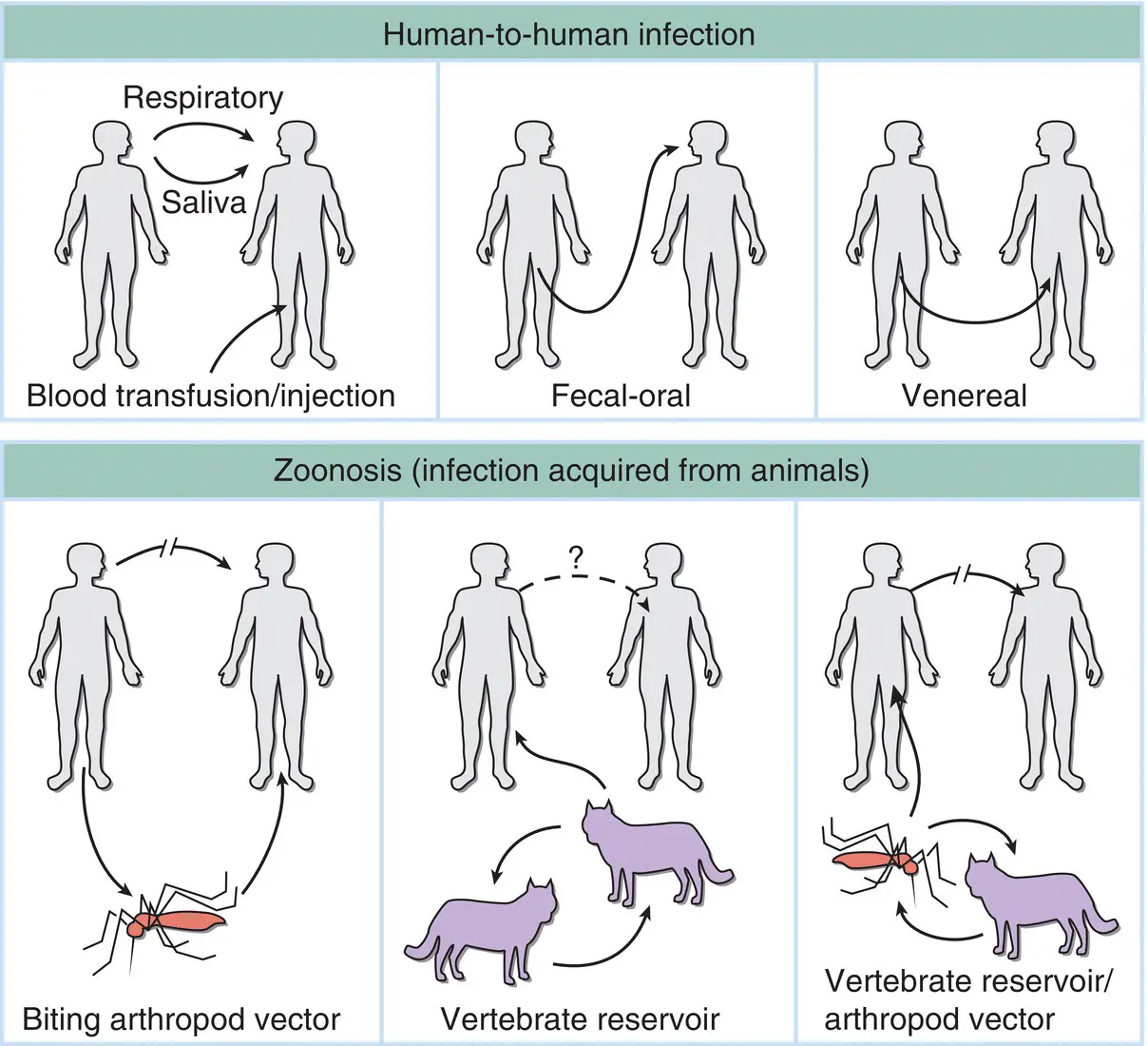 Figure 31Some transmission routes of specific viruses from their source - фото 8