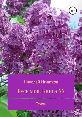 Николай Игнатков Русь моя. Книга 20 обложка книги
