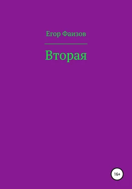 Егор Фаизов Вторая обложка книги