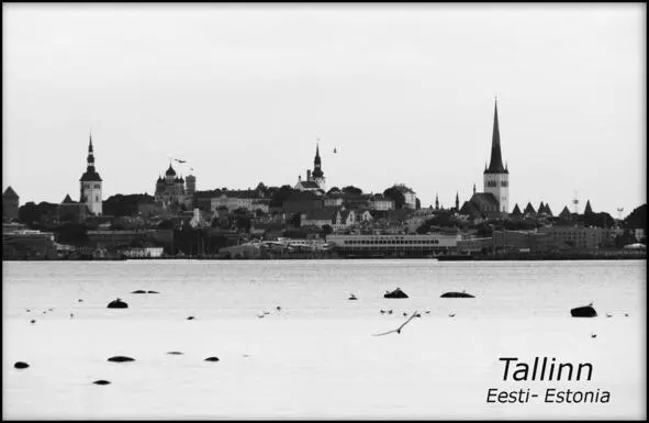 Рис 2 Таллинн Эстония фотограф Мария Первый день в Таллинне У меня был - фото 2