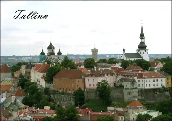 Рис 5 Вид с крыши отеля Radisson Blu Таллинн фотограф Мария Я прочитала - фото 5