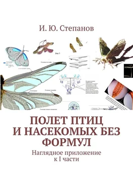 И. Степанов Полет птиц и насекомых без формул. Наглядное приложение к I части обложка книги