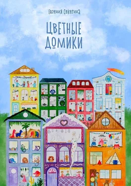 Евгения Секерина Цветные домики обложка книги