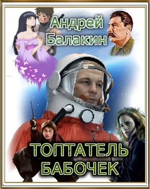 Андрей Балакин Топтатель бабочек обложка книги