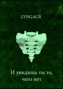 Lyngaur И увидишь ты то, чего нет обложка книги