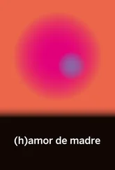 María Fernanda Ampuero - (h)amor de madre