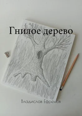 Владислав Ефремов Гнилое дерево обложка книги